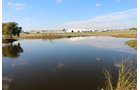 TRACTS 3 & 4 - LAND, MINERAL & PERSONAL PROPERTY AUCTION - 236+/- OFFERED IN 12 TRACTS IN OKMULGEE CO, OKLAHOMA